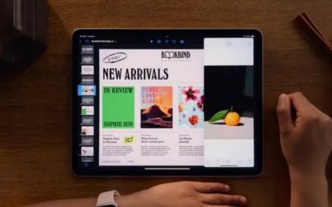 iPadAir2024有几个机型？