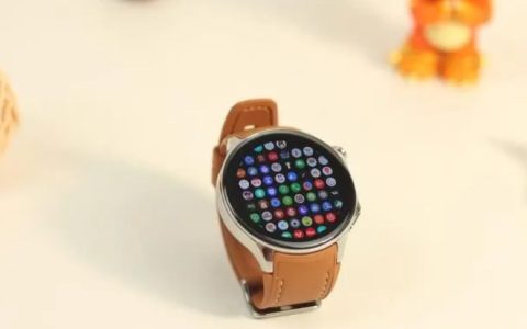 OPPOWatchX能测血氧吗？支持血氧检测功能吗？