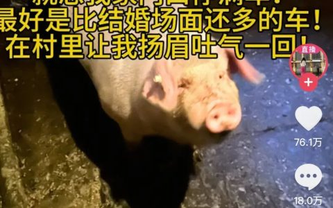 1000 元开发 APP，估值 9000 万！爆火后改名转型，这次真的要 “活” 了？