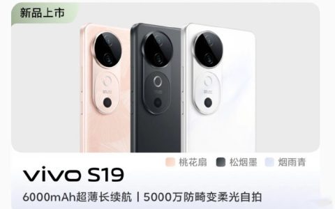 vivo S19更换原装电池要多少钱？