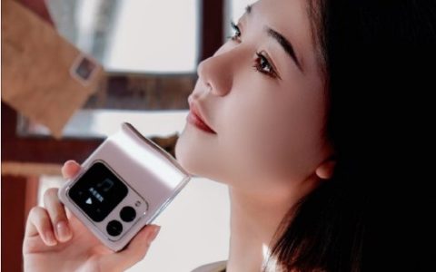 华为NovaFlip如何查看内存占用？
