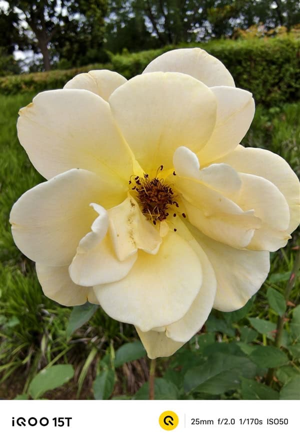 2K+电竞双芯！iQOO15T手机全面评测：电竞、续航、影像全拉满，同档无对手