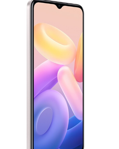 vivo Y33s