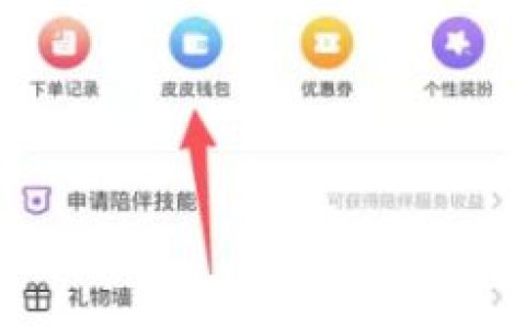 皮皮陪玩钱包怎么查看 皮皮陪玩钱包查看方法【详解】