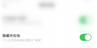 皮皮陪玩隐藏所在地怎么弄 皮皮陪玩隐藏所在地方法【详解】