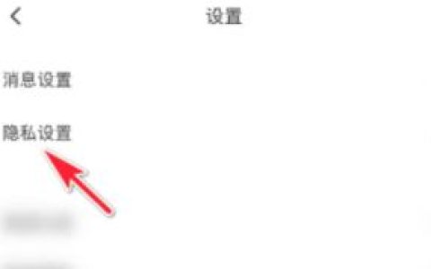 皮皮陪玩隐藏足迹怎么操作 皮皮陪玩隐藏足迹操作方法【详解】