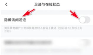 皮皮陪玩隐藏足迹怎么操作 皮皮陪玩隐藏足迹操作方法【详解】