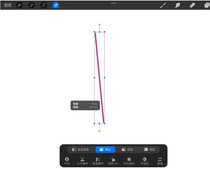 procreate怎么确定线的长度 procreate确定线的长度方法【教程】