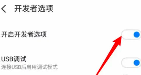 魅族21如何退出开发者模式 魅族21退出开发者模式方法【详解】