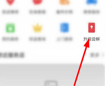 荣耀80怎么升级鸿蒙系统 荣耀80升级鸿蒙系统方法【详解】