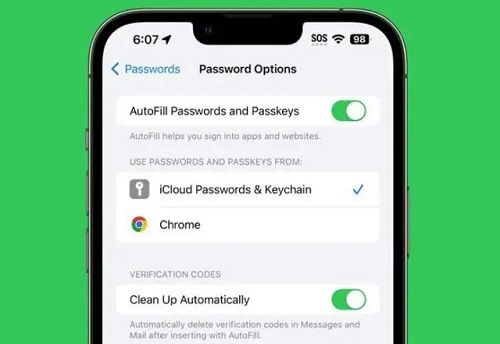 ios17验证码怎么自动删除  ios17验证码自动删除方法【详解】