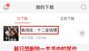 在蜻蜓FM中怎么删掉下载内容 在蜻蜓FM中删掉下载内容教程【步骤】
