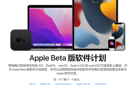 在iPhone上安装和下载iOS 16测试版的指南