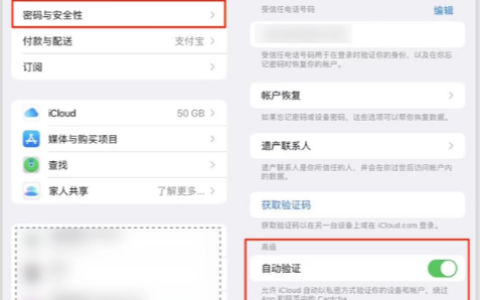 如何启用iOS 16的自动验证功能