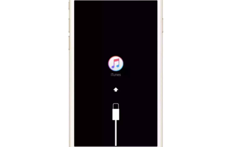 如何解决iPhone卡在iTunes标志的问题？两种简单方法！