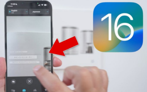 iPhone视频文本复制和翻译功能：iOS 16实用指南