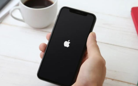 解决iPhone白苹果问题的2种方法：清理内存、释放存储空间