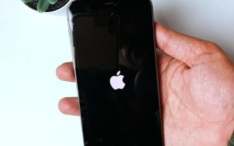 解决iphone8白苹果界面卡死问题，让你学会2种恢复系统方法！