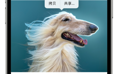 学习苹果官方iPhone的10个小技巧！