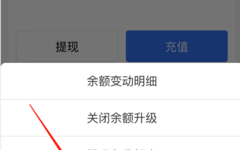 支付宝冻结余额的详细操作流程及指南