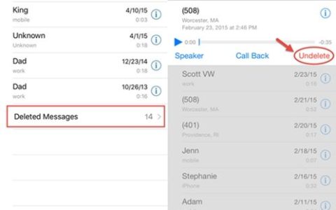 在iPhone上恢复已删除语音邮件的4种简便方法