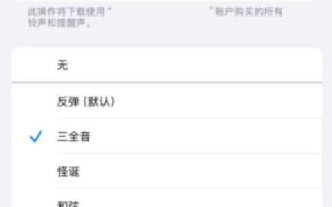 iOS 17.2iPhone通知声音怎更改？ 默认铃声改回三全音教程