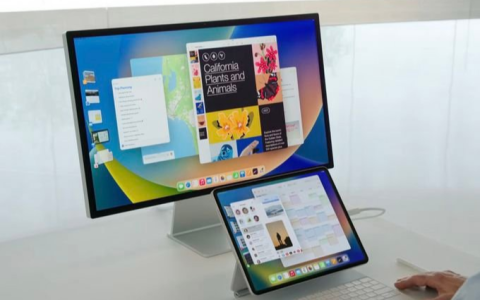 苹果发布iPadOS 16.1开发者预览版，舍弃iPadOS 16版本
