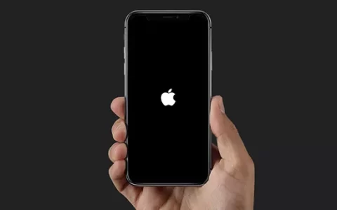 方法解决iPhone XR在Apple徽标中卡住的问题