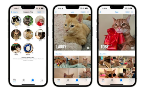 iOS17照片更新：人物和猫狗宠物识别功能更精确