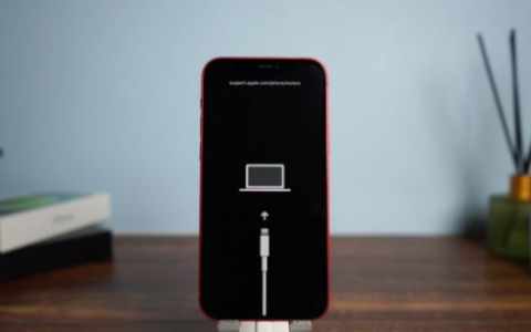 iPhone进入恢复模式导致屏幕一直显示充电线+电脑？