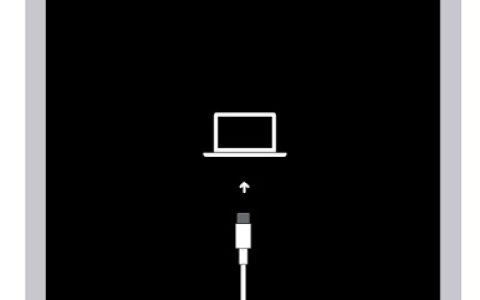 如何恢复”support.apple.com/ipad/restore”错误消息问题