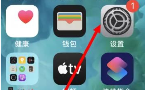 iPhone手机如何把safari浏览器换成chrome浏览器？