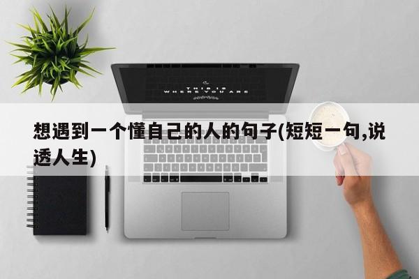 想遇到一个懂自己的人的句子