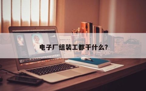 电子厂组装工都干什么？