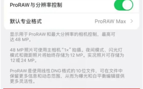 苹果iPhone 15 Pro / Max 空间视频录制技巧