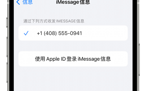 在 iPhone 上无法正常发送 iMessage 信息怎么办？