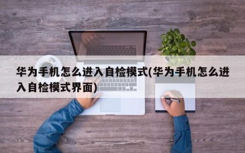 华为手机怎么进入自检模式