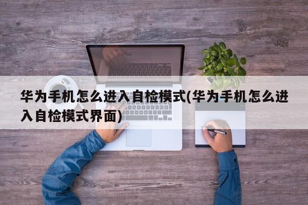 华为手机怎么进入自检模式
