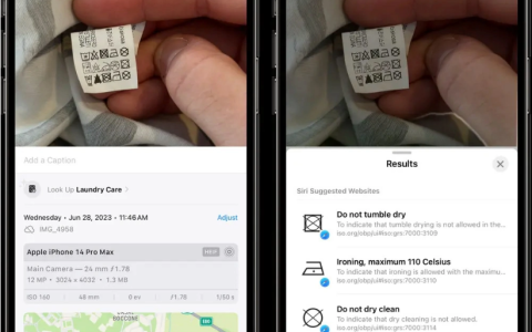 iOS 17的看图查询功能有多大用处？