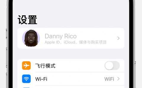 iPhone 设置中的 Apple ID 显示为灰色无法使用怎么办？