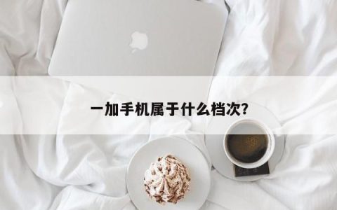 一加手机的级别是什么？