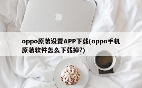 oppo原装设置APP下载