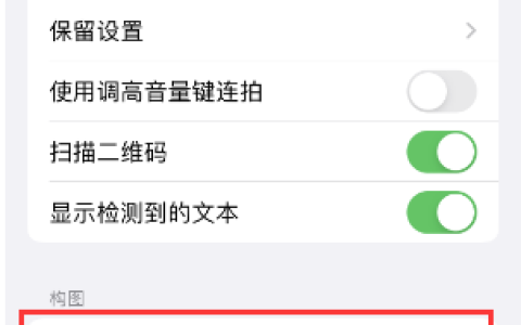 如何在苹果iPhone上启用九宫格构图功能？
