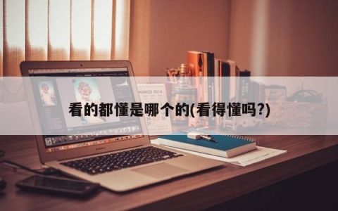 能解读出来的是哪一个？(可以理解吗？)