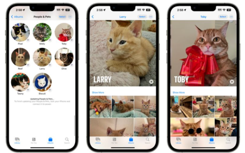 iOS 17 照片应用更新：提升人物和猫狗宠物识别的准确性