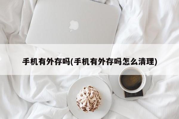 手机有外存吗