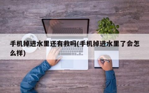 手机落水后是否还能挽救