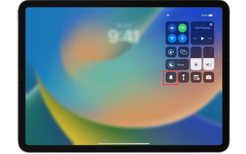 为何我的 iPad 在游戏中没有声音？