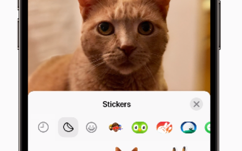iOS 17 的信息应用有哪些新特性？