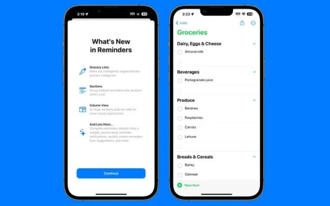 使用iOS 17 “提醒事项”如何自动对物品进行分类？